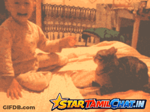 A Baby Sitting On A Bed Next To A Cat With A Star Tamilchat.in Logo On The Bottom GIF
