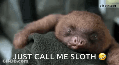 A Baby Sloth Is Laying On Top Of A Blanket And Says `` Just Call Me Sloth '' . GIF