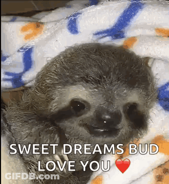 A Baby Sloth Is Wrapped In A Blanket And Smiling . GIF