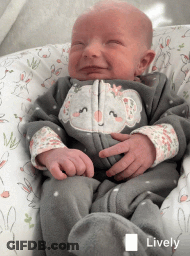 A Baby Wearing A Koala Onesie Is Smiling In A Lively Photo GIF
