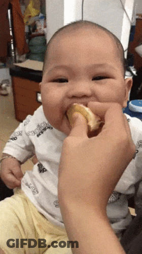 A Baby Wearing An Adidas Shirt Is Being Fed A Piece Of Food GIF