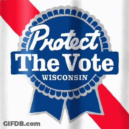 A Badge That Says Protect The Vote Wisconsin GIF