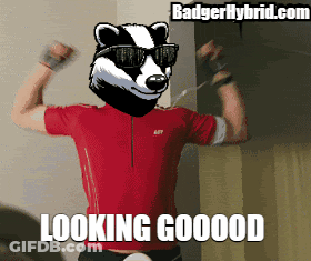 A Badger Wearing Sunglasses And A Red Shirt Is Flexing His Muscles And Says Looking Goodd GIF