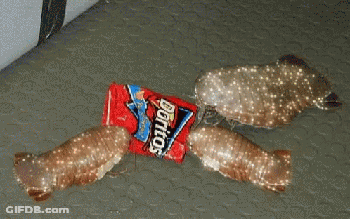 A Bag Of Doritos Is Laying On The Floor Next To Some Fish GIF