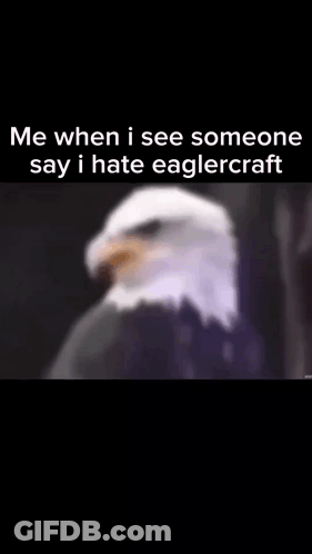 A Bald Eagle Is Sitting In Front Of A Black Background . GIF