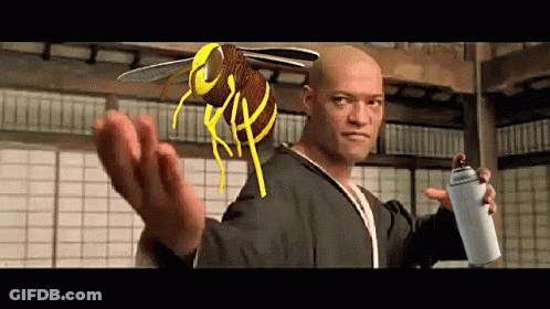 A Bald Man Is Holding A Spray Can And A Bee On His Head .. GIF