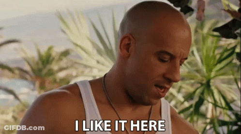A Bald Man Says I Like It Here In Front Of Palm Trees GIF