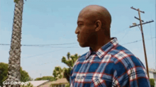 A Bald Man Wearing A Plaid Shirt Is Standing In Front Of A Palm Tree And Power Lines . GIF