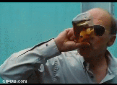 A Bald Man Wearing Sunglasses Is Drinking From A Glass Of Beer . GIF