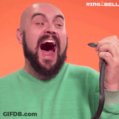 A Bald Man With A Beard Is Holding A Snake In Front Of An Orange Background With Ring The Bell Written On It GIF