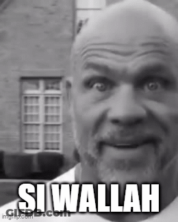 A Bald Man With A Beard Is Making A Funny Face With The Words Si Wallah On His Face . GIF
