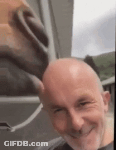 A Bald Man With A Beard Is Smiling And Looking At The Camera While Standing In Front Of A Window . GIF