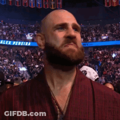 A Bald Man With A Beard Is Standing In Front Of A Crowd And A Banner That Says ' Reira ' On It GIF