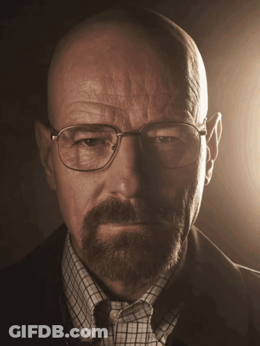 A Bald Man With A Beard Wearing Glasses And A Plaid Shirt GIF