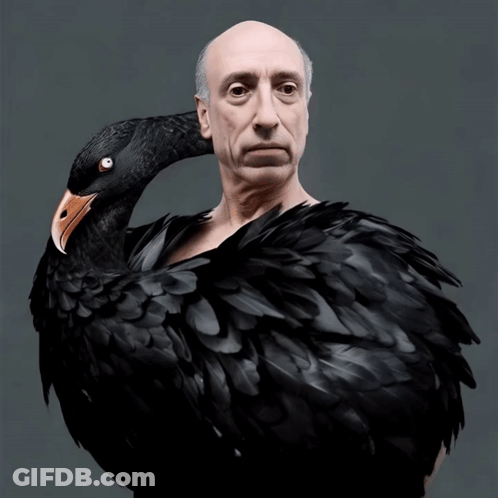 A Bald Man With A Large Black Bird On His Shoulders GIF