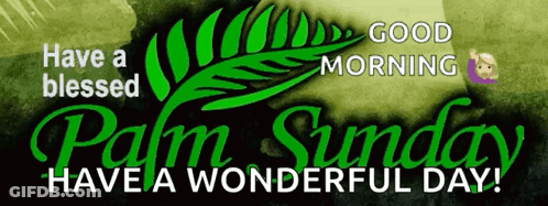 A Banner That Says Have A Blessed Palm Sunday And Have A Wonderful Day GIF