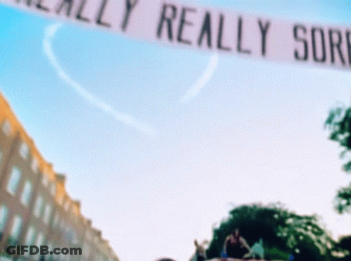 Sorry Banner In Sky GIF