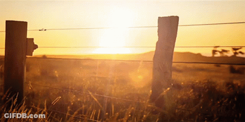 A Barbed Wire Fence In A Field With The Sun Setting In The Background GIF