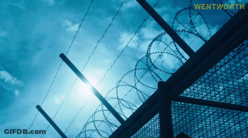 A Barbed Wire Fence With Wentworth Written On The Bottom Right GIF