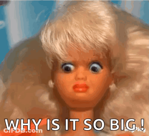 A Barbie Doll Is Making A Funny Face And Says " Why Is It So Big " GIF