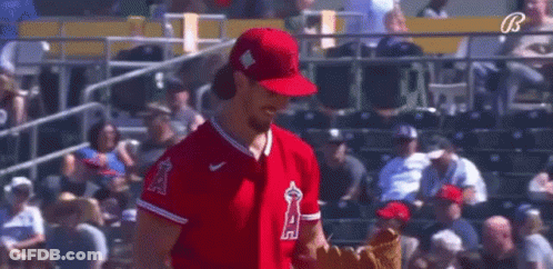 A Baseball Player In A Red Uniform Is Standing In Front Of A Crowd At A Game . GIF