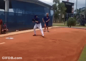 A Baseball Player Is Throwing A Ball On A Baseball Field GIF