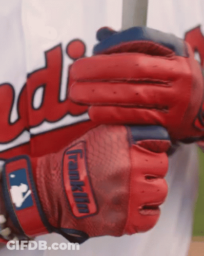 A Baseball Player Wearing A Franklin Glove Holds A Bat GIF
