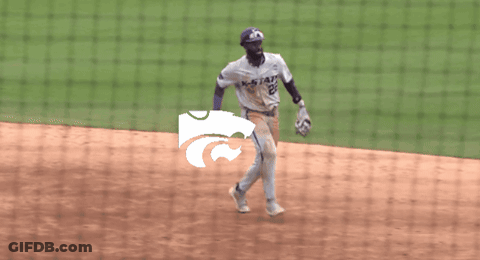 A Baseball Player Wearing A Jersey That Says State On It GIF