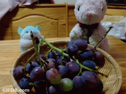 A Basket Of Grapes Sits On A Wooden Table With A Stuffed Animal In The Background GIF