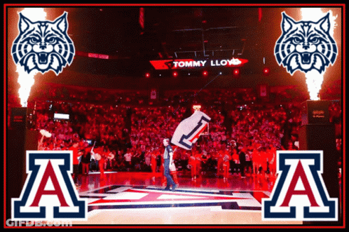 A Basketball Court With The Letters Aa And Tommy Lloyd In The Background GIF