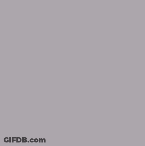 A Basketball Game Is Being Played In Front Of A Sportcheck Sign GIF