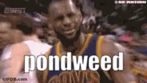 A Basketball Player In A Golden State Warriors Uniform Says Pondweed GIF