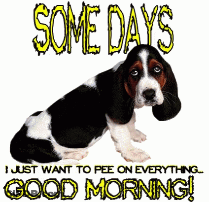 A Basset Hound Puppy With The Words Some Days I Just Want To Pee On Everything GIF
