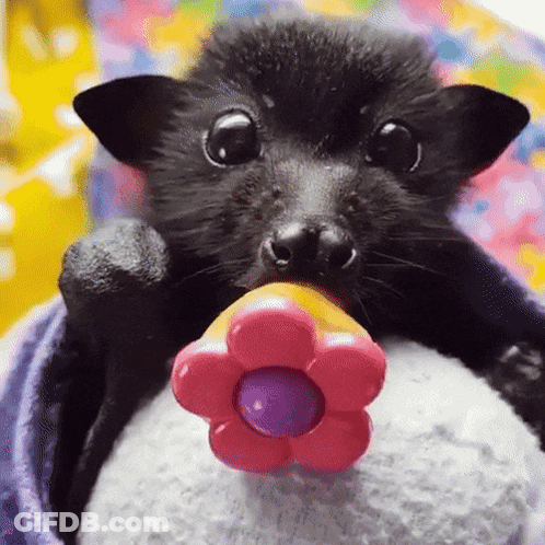 A Bat Is Holding A Pink Flower In Its Mouth GIF