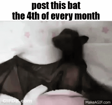 A Bat Is Sitting On A Person 'S Head . GIF