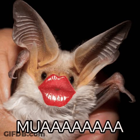 A Bat With Red Lips Is Being Held In Someone 'S Hand With Muaaaa Written Below It GIF