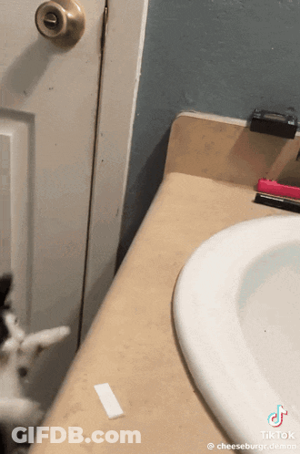 A Bathroom Counter With A Toothbrush And A Toothpaste Sticker On It GIF