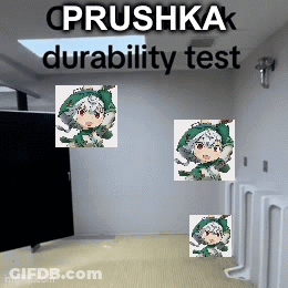 A Bathroom With A Sign That Says " Prusha Durability Test " GIF