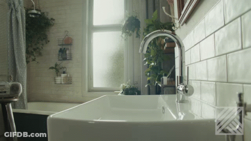 A Bathroom With A Sink And A Window With Plants Hanging On The Wall GIF
