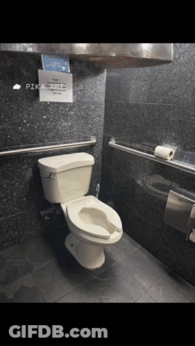 A Bathroom With A Toilet And A Sign That Says Pika Art On It GIF