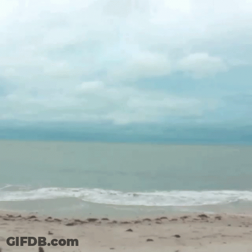 A Beach Scene With A Cloudy Sky And Waves Crashing On The Sand GIF
