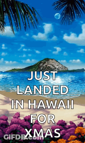 A Beach Scene With The Words Just Landed In Hawaii For Xmas GIF