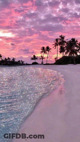 A Beach With Palm Trees And A Purple Sky GIF