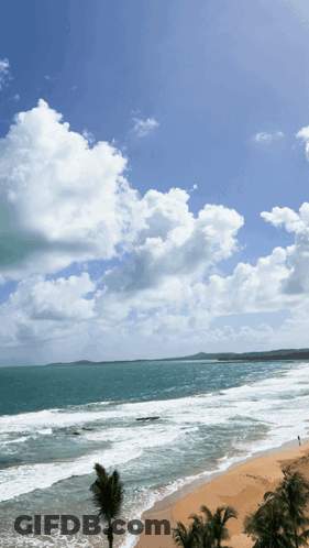 A Beach With Palm Trees And Waves Coming In GIF