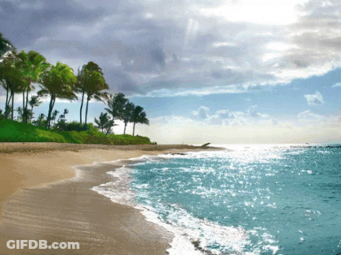 A Beach With Palm Trees And Waves Crashing Against The Sand GIF