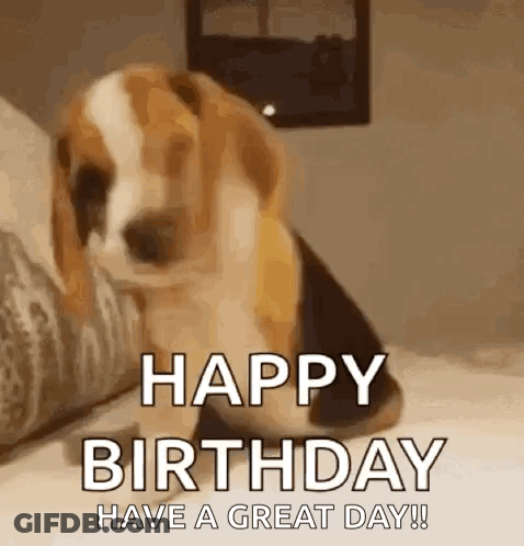 A Beagle Dog Is Sitting On A Bed With The Words `` Happy Birthday Have A Great Day '' . GIF