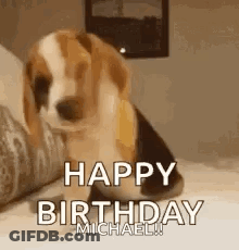 A Beagle Puppy Is Sitting On A Bed And Saying `` Happy Birthday Michael '' . GIF