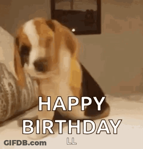 A Beagle Puppy Is Sitting On A Bed And Says Happy Birthday . GIF