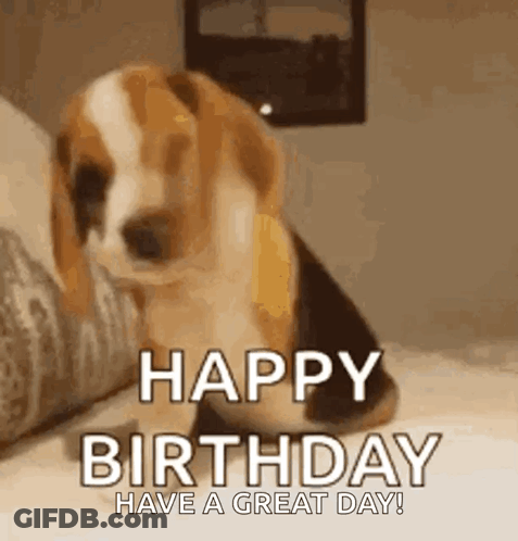 A Beagle Puppy Is Sitting On A Bed And Says `` Happy Birthday Have A Great Day '' . GIF