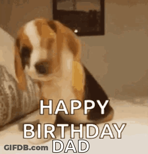 A Beagle Puppy Is Sitting On A Bed With The Words `` Happy Birthday Dad '' Written On It . GIF